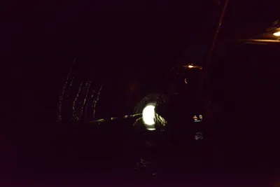 DSC_2748 (Large).JPG